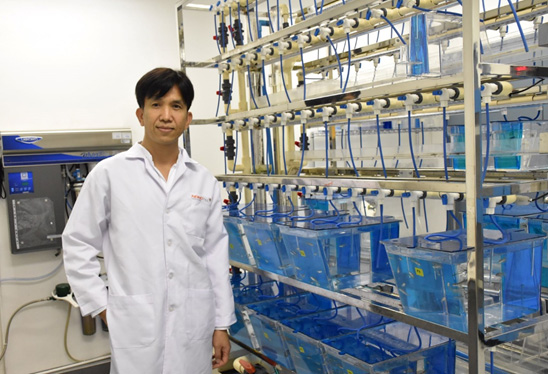 นาโนเทค ให้บริการทดสอบพิษวิทยาในตัวอ่อนปลาม้าลายแห่งแรกของไทย เตรียมต่อยอดประยุกต์ทดสอบฤทธิ์ยาต้านมะเร็ง ตอบโจทย์ทางการแพทย์